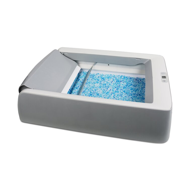 Self cleaning litter outlet box petsmart